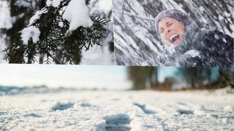 © Alerte Météo : Une Dépression Dévastatrice