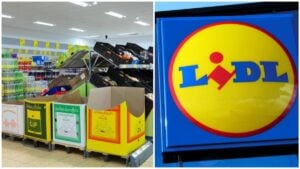 La fin de Lidl ? Découvrez le nouveau magasin qui pourrait concurrencer l'enseigne allemande avec ses prix imbattables