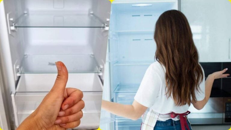 © La technique secrète pour dégivrer son frigo en 17 minutes chrono