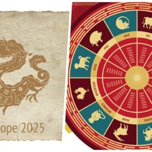 © Horoscope Chinois 2025 du Dragon